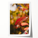 Extra large rolled print featuring a floral design in autumn hues, ideal for art wall dining room or bathroom.