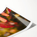 Extra large rolled print featuring line art flowers in muted autumnal colors, ideal for large living room wall art.