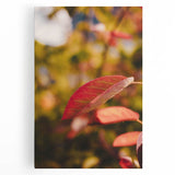 Large black and white stretched canvas featuring a minimalist fall tree design, ideal for kitchen wall art.