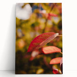 Large black and white stretched canvas featuring a minimalist fall tree design, ideal for kitchen wall art.
