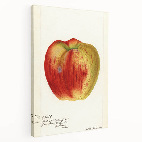 Large canvas print depicting an assortment of colorful fruits, ideal for kitchen wall art.