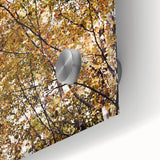 Large abstract wall art in warm autumn hues on acrylic glass, ideal for dining room art in a mid-century modernist style.