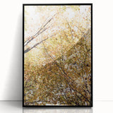 Large abstract wall art depicting autumn colors on black framed acrylic, ideal for modern living room decor.