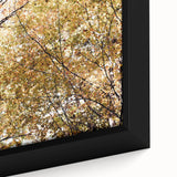 Framed canvas featuring a textured, colorful abstract design with black accents, ideal for living room decor.