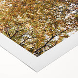 Art deco poster featuring an autumnal scene with warm orange and brown tones on rolled canvas.
