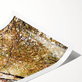 Extra large wall art featuring line art flowers in muted autumnal tones on a rolled canvas.