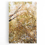 Large black and white stretched canvas depicting a minimalist autumn tree, ideal for kitchen wall art.