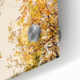Large abstract wall art with warm autumn hues on acrylic glass, ideal for dining room ambiance.