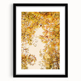 Extra large abstract art print featuring vibrant autumnal hues on textured canvas, framed in black.