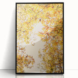 Large abstract wall art featuring fall-themed colors in orange and brown on a framed acrylic.