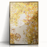 Large art print of a mid-century modernist fall scene with gold and orange tones on framed acrylic.