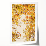 Extra large rolled print featuring a fall-themed floral design in warm red and orange tones.