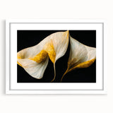 Abstract floral wall art framed in white matting, showcasing vibrant colors and intricate designs, perfect for modern home decor. Ideal for enhancing any living space.