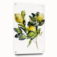 Acrylic print of large abstract wall art featuring assorted fruits in vibrant colors, ideal for dining room decor.