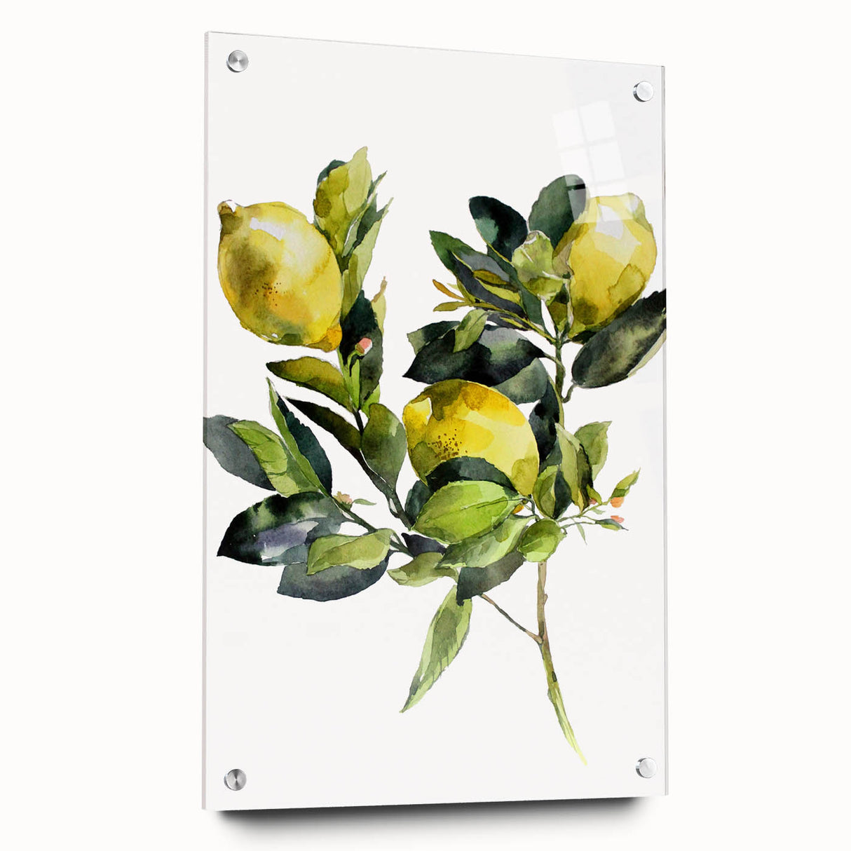 Acrylic print of large abstract wall art featuring assorted fruits in vibrant colors, ideal for dining room decor.