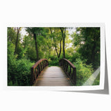 Landscape bridge rolled print showcasing a serene river scene with lush greenery and a vibrant blue sky, rolled neatly for easy transport and display.