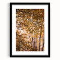 Extra large abstract art print featuring textured fall foliage in vibrant orange and red hues on a black framed canvas.