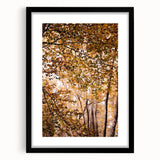 Extra large abstract art print featuring textured fall foliage in vibrant orange and red hues on a black framed canvas.
