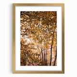 Extra large abstract art print featuring textured autumnal hues in a gold frame, ideal for living room decor.