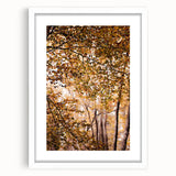 Abstract art print featuring swirling autumn colors in orange and red on a white framed canvas.
