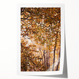 Extra large rolled print of a fall-themed floral art, featuring warm orange and red tones, ideal for dining room wall decor.