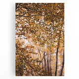 Large black and white stretched canvas depicting a minimalist autumn tree, ideal for kitchen wall art.