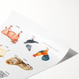 Animal Sounds Educational Wall Art - Kids' Learning Poster