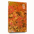 Large abstract wall art depicting fall foliage in red and orange tones on acrylic glass.