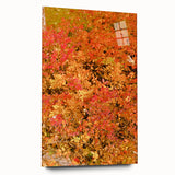 Large abstract wall art in warm autumn hues on acrylic glass, suited for bedroom or dining room decor.