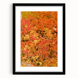 Extra large abstract art print featuring textured, colorful foliage on a rolled canvas, ideal for living room decor.