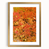 Extra large abstract art print with textured red and orange fall motifs on a gold-framed canvas.