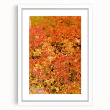 Abstract art print depicting autumnal trees in vibrant orange and red tones on a white framed canvas.