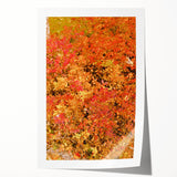 Extra large rolled print of a floral art depicting autumn foliage in warm orange and red tones.