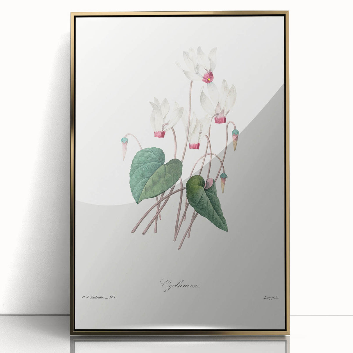 Neoclassical Art Print: Cyclamen by Redouté - Greco-Roman Style Wall Art