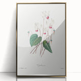 Neoclassical Art Print: Cyclamen by Redouté - Greco-Roman Style Wall Art