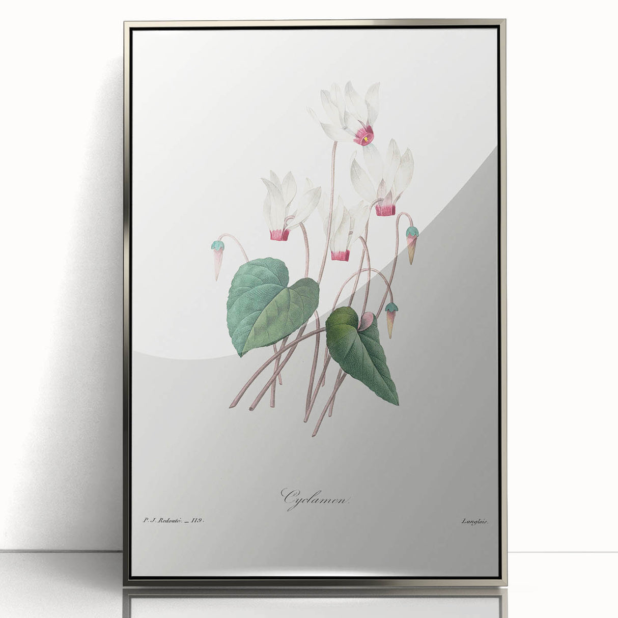 Neoclassical Art Print: Cyclamen by Redouté - Greco-Roman Style Wall Art