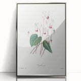 Neoclassical Art Print: Cyclamen by Redouté - Greco-Roman Style Wall Art
