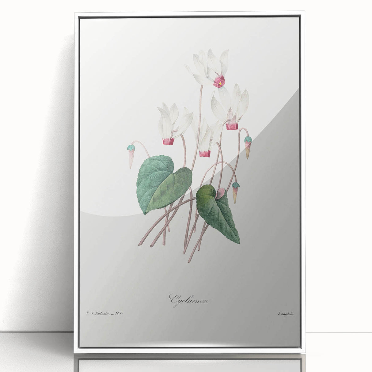 Neoclassical Art Print: Cyclamen by Redouté - Greco-Roman Style Wall Art
