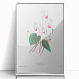 Neoclassical Art Print: Cyclamen by Redouté - Greco-Roman Style Wall Art