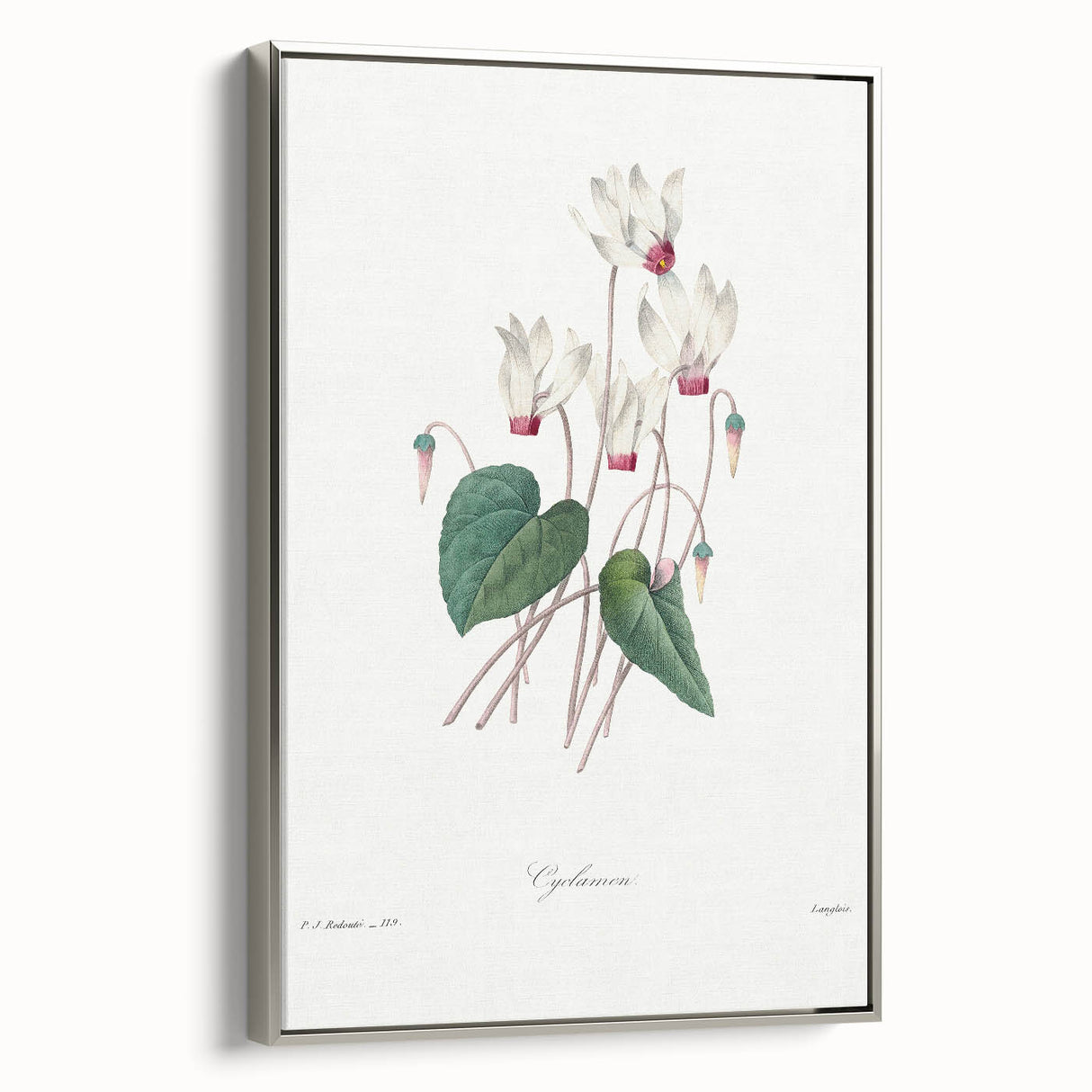 Neoclassical Art Print: Cyclamen by Redouté - Greco-Roman Style Wall Art