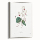 Neoclassical Art Print: Cyclamen by Redouté - Greco-Roman Style Wall Art