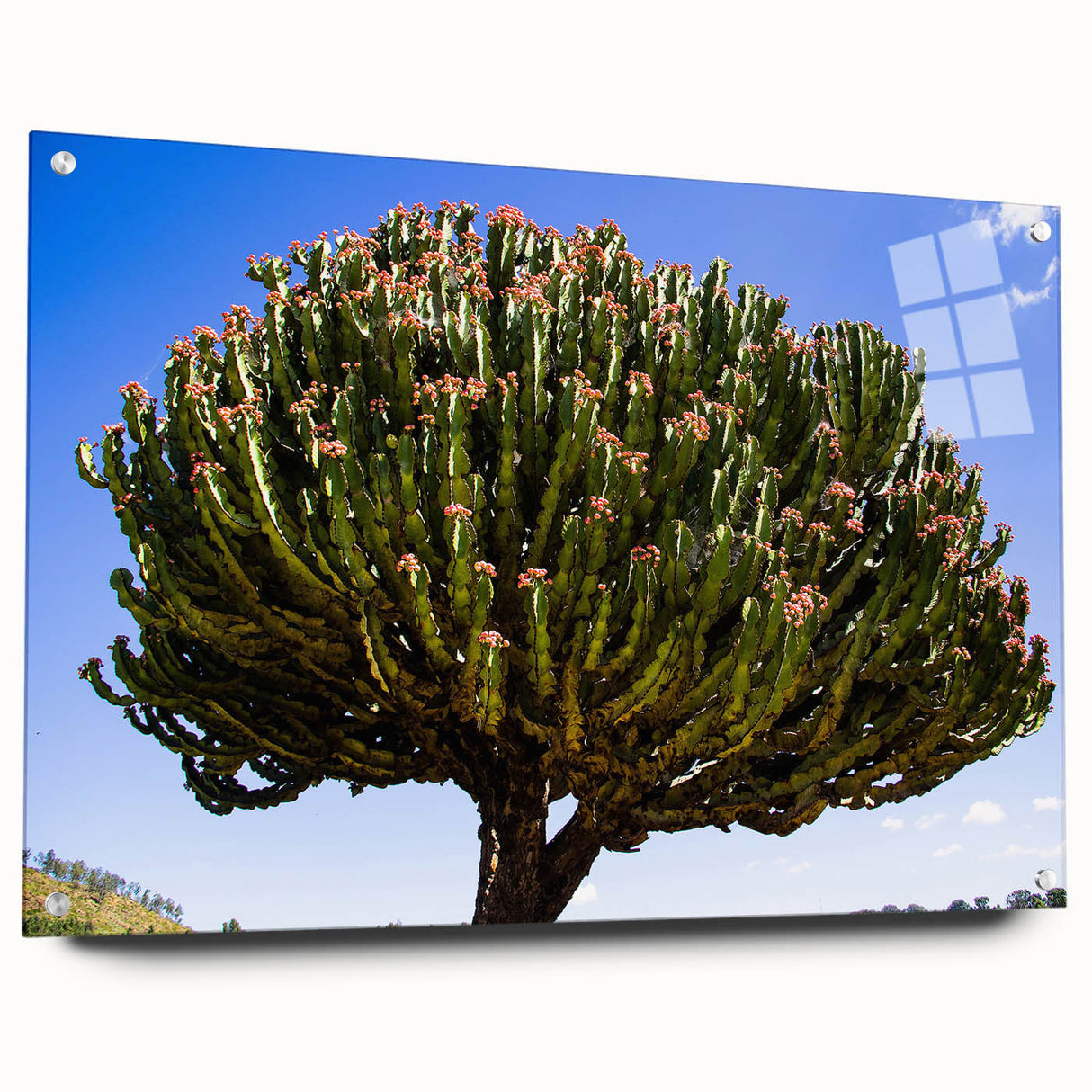 Large abstract wall art of Ethiopian scenery on acrylic glass, featuring earthy tones.