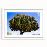 Extra large framed abstract art print featuring textured scenery of Ethiopia in earthy tones, ideal for living room decor.