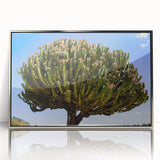 Art deco poster depicting Ethiopian scenery in silver framed acrylic, ideal for modern art wall decor.