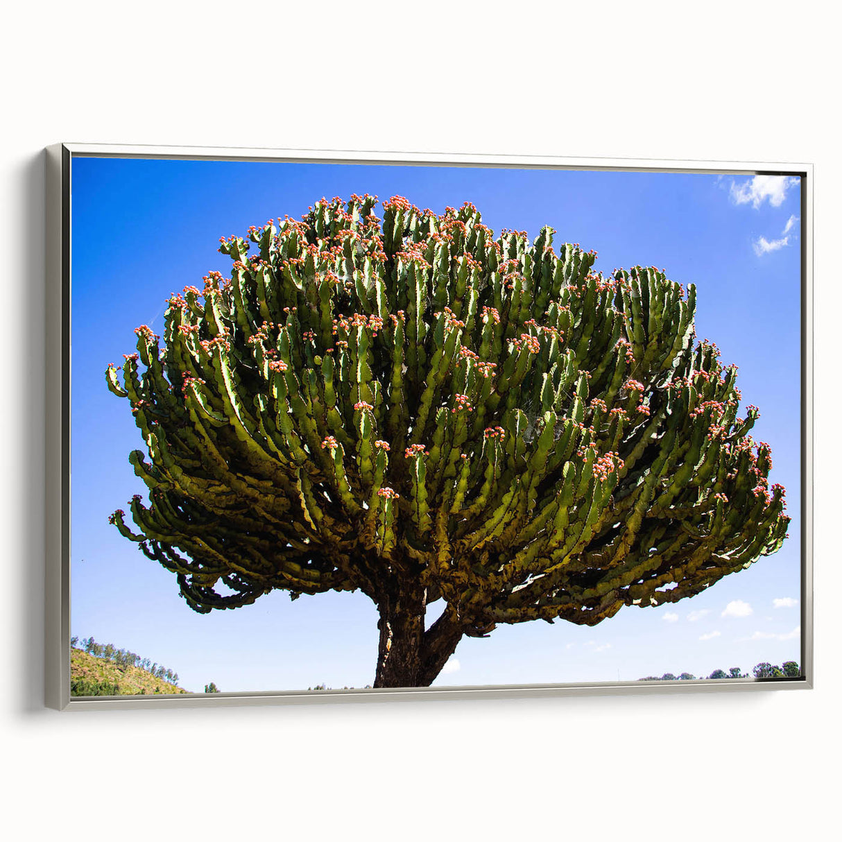 Vintage poster art of an Ethiopian landscape on framed canvas, in vibrant colors, ideal for living room decor.
