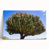 Black and white stretched canvas depicting Ethiopian scenery, ideal for kitchen wall art or bedroom ambiance.