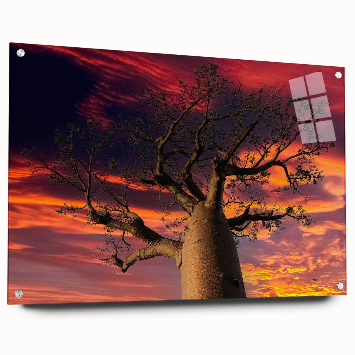 Acrylic print of a Madagascar landscape in earth tones, ideal for dining room decor.