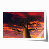Extra large rolled print featuring a scenic Madagascar landscape with lush greenery and vibrant blue skies.