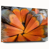 Acrylic glass print of a serene Seychelles landscape with lush greenery and ocean view.