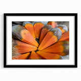 Extra large abstract art print of a colorful Seychelles scenery on textured canvas, framed in black.